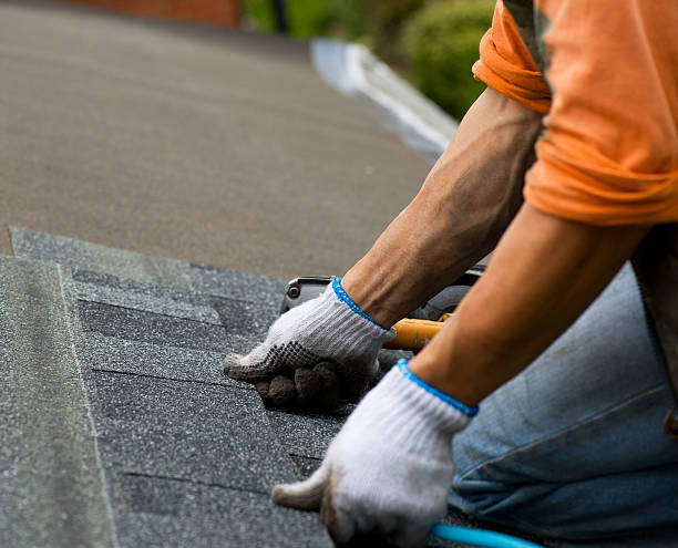 Best Roof Gutter Cleaning  in Claysburg, PA